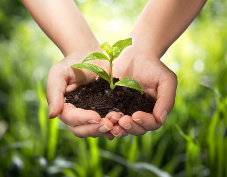 shutterstock 154639625